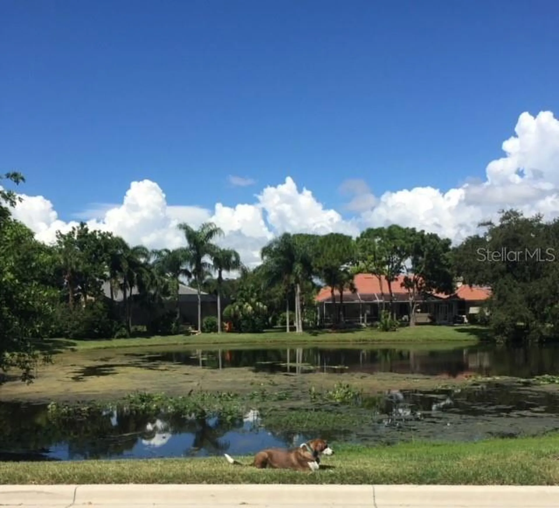 3625 Square West Lane Sarasota FL 34238