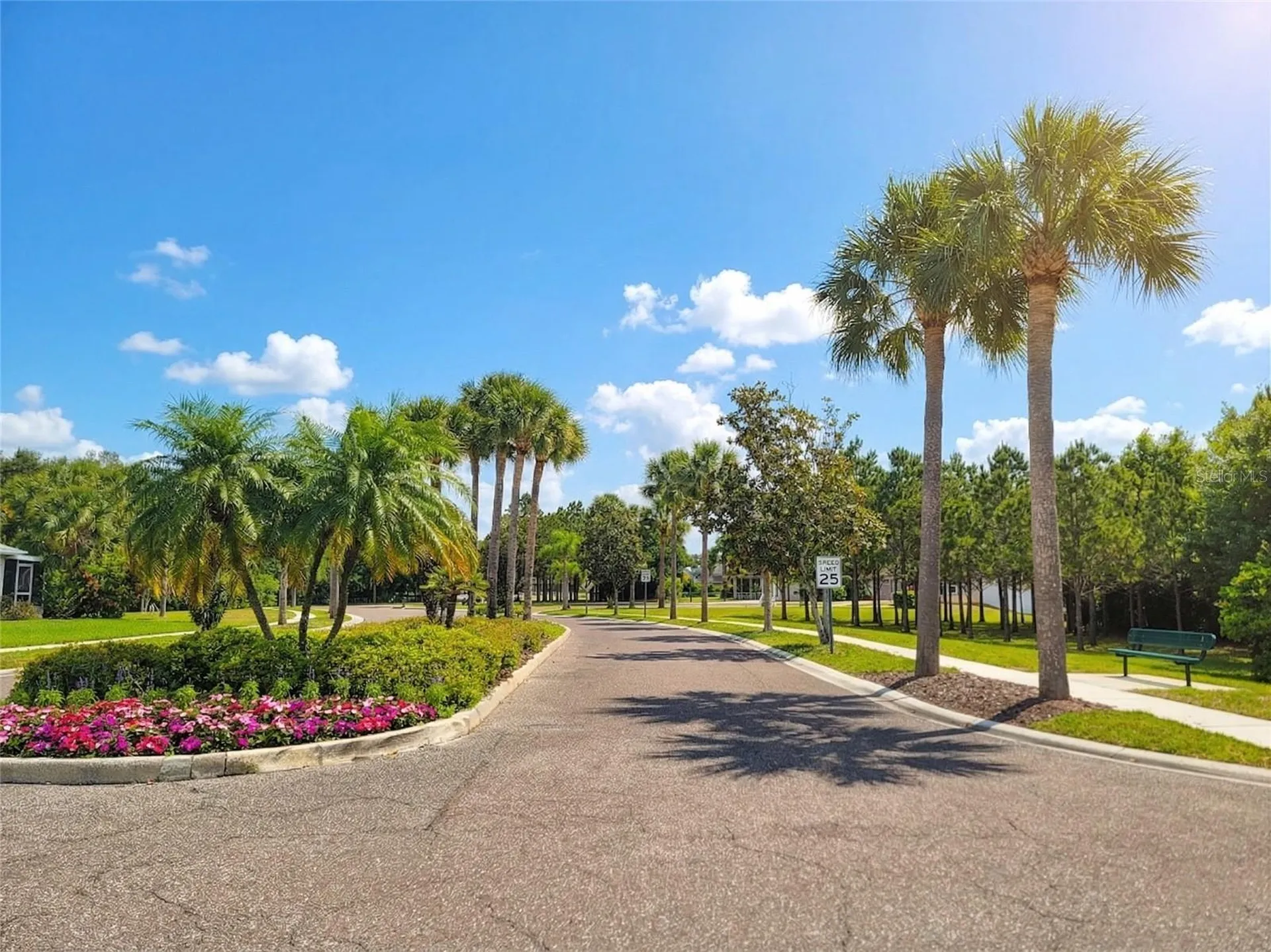 1001 Torreya Way Odessa FL 33556