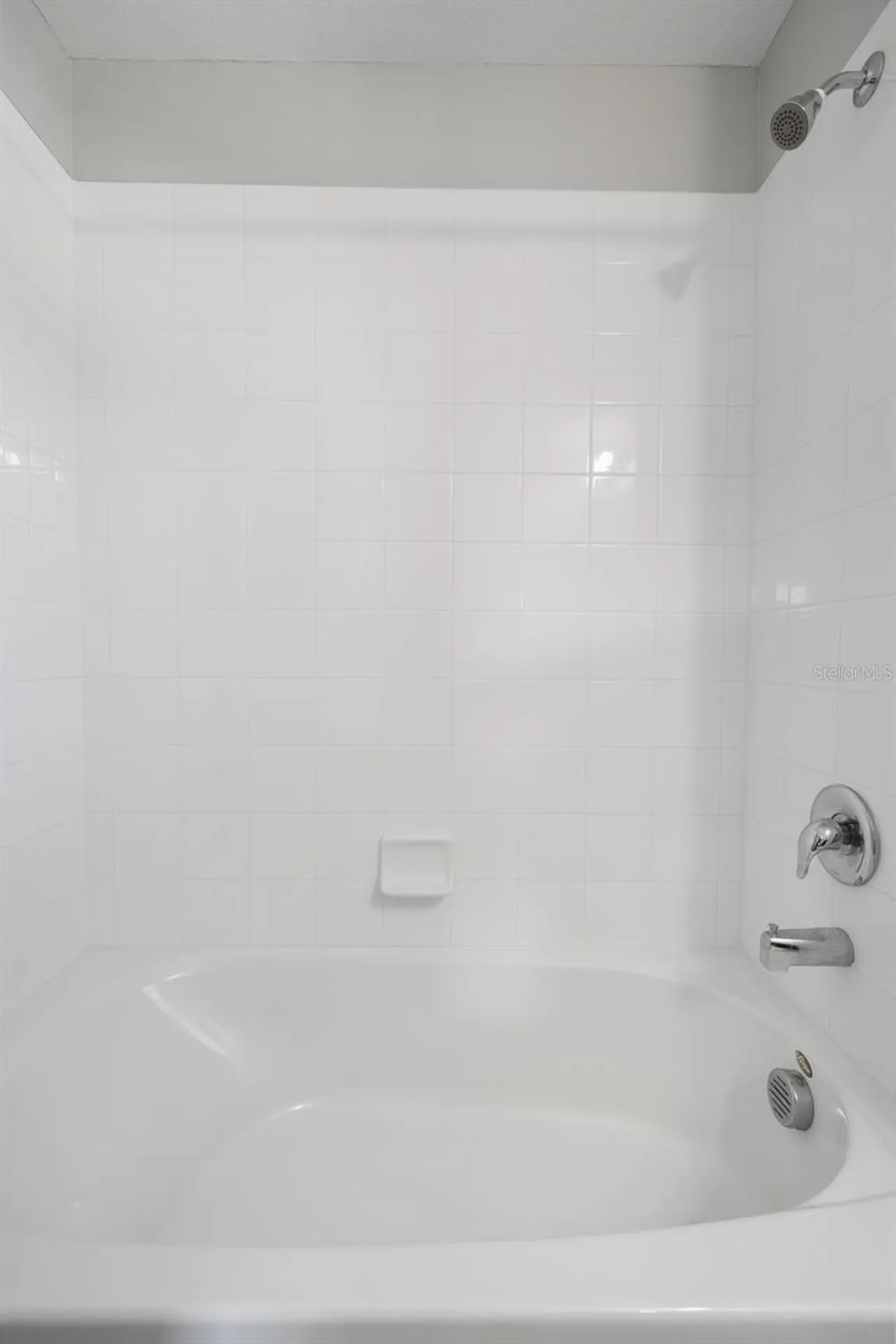 7678 Ginger Lily Court Tampa FL 33619