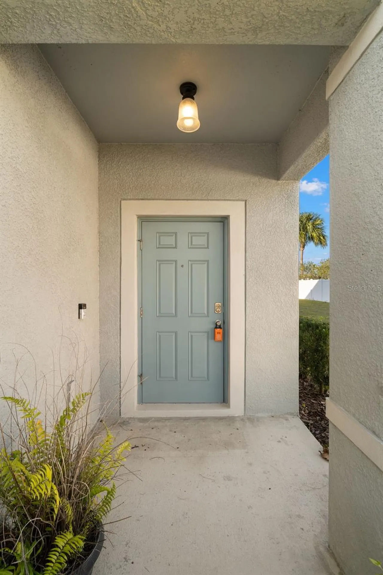 7678 Ginger Lily Court Tampa FL 33619