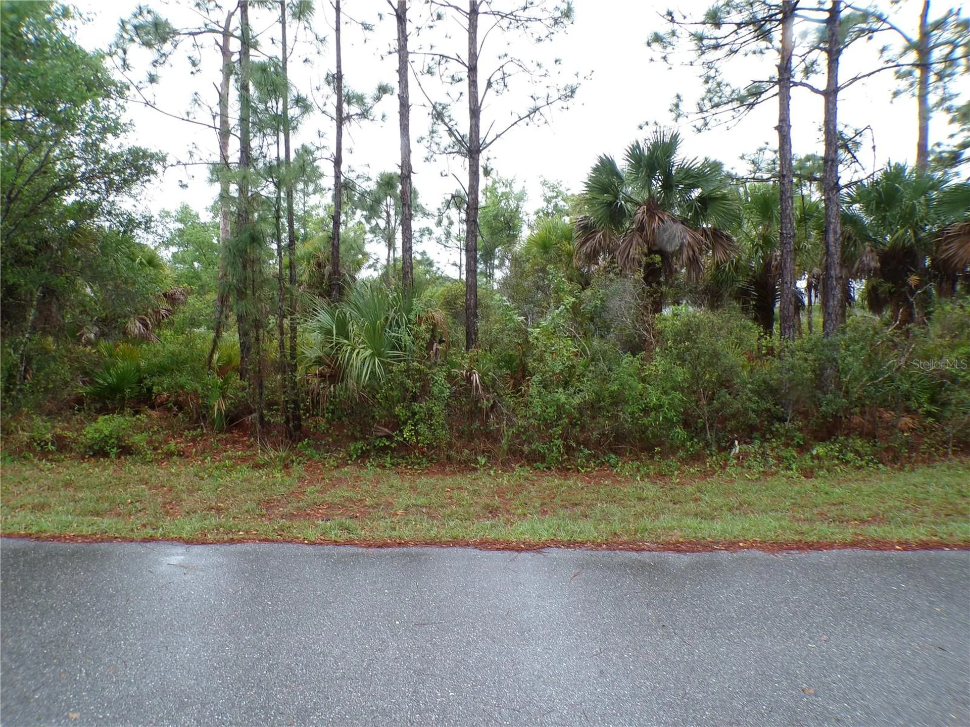 14299 Harcourt Avenue Port Charlotte FL 33953