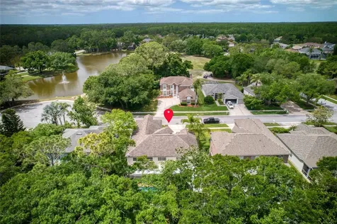 15509 Eastbourn Drive Odessa FL 33556