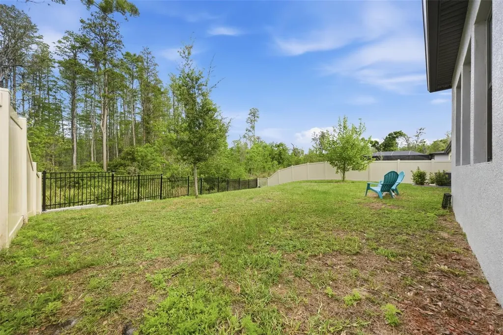 9845 Sword Fern Way Land O Lakes FL 34637