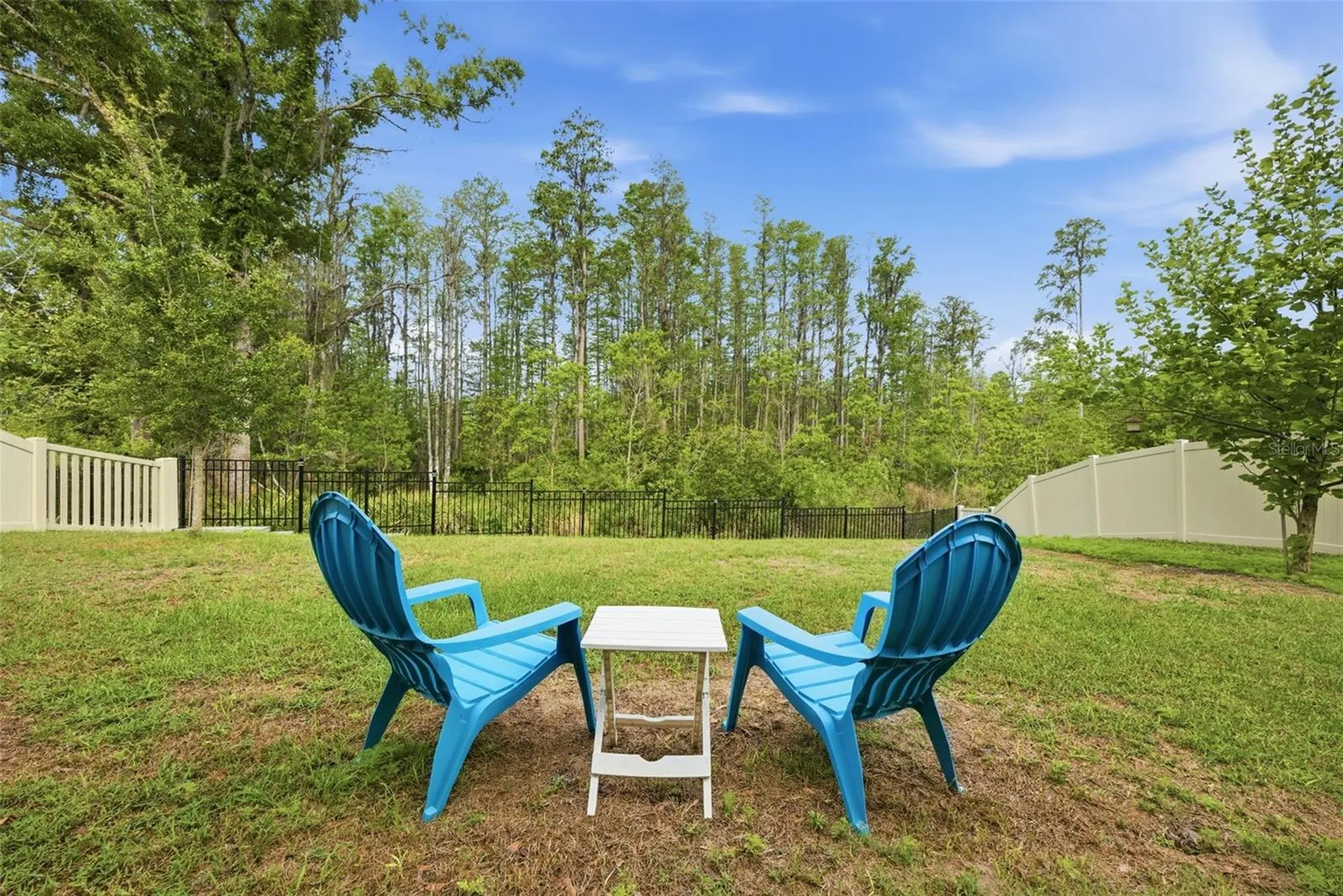 9845 Sword Fern Way Land O Lakes FL 34637