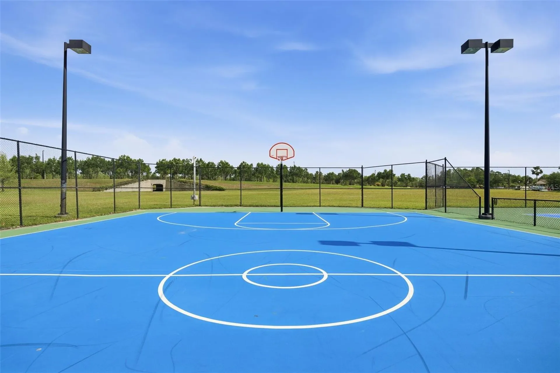 9845 Sword Fern Way Land O Lakes FL 34637