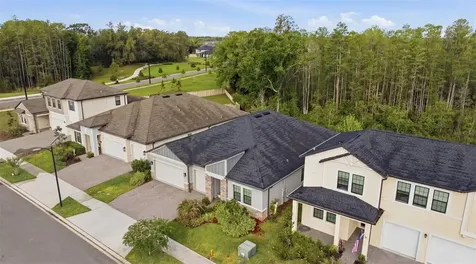 9845 Sword Fern Way Land O Lakes FL 34637