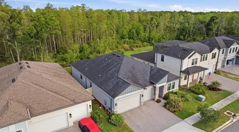 9845 Sword Fern Way Land O Lakes FL 34637