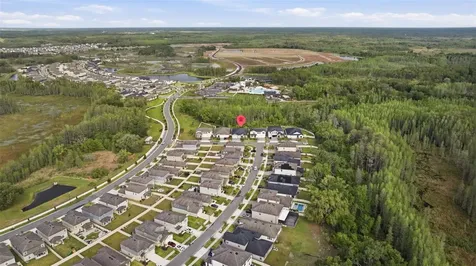 9845 Sword Fern Way Land O Lakes FL 34637