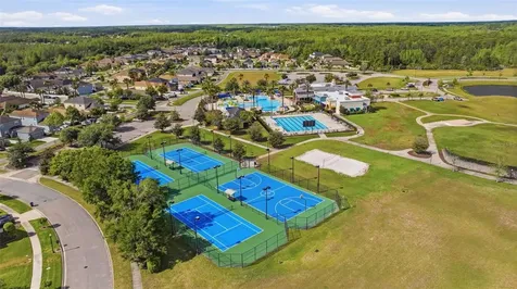 9845 Sword Fern Way Land O Lakes FL 34637
