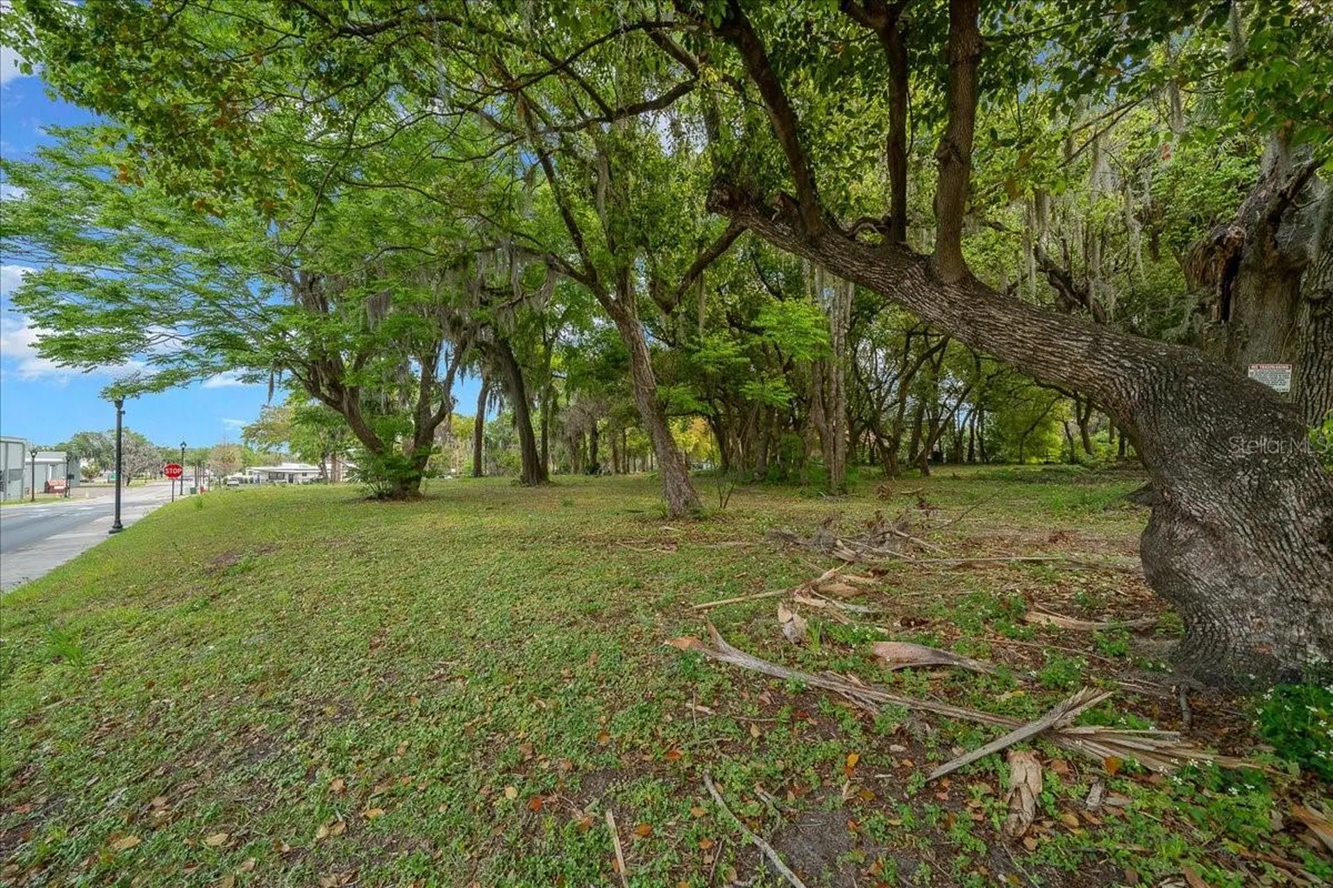 118 NE Tuscawilla Avenue Ocala FL 34470