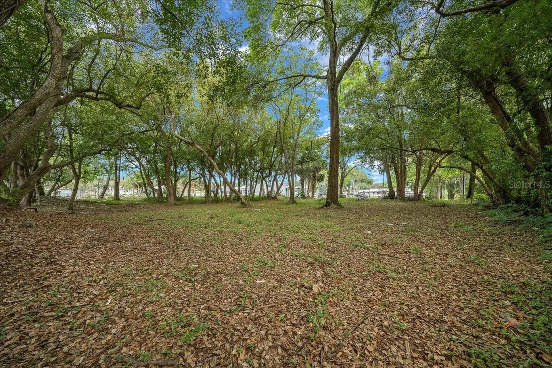 118 NE Tuscawilla Avenue Ocala FL 34470