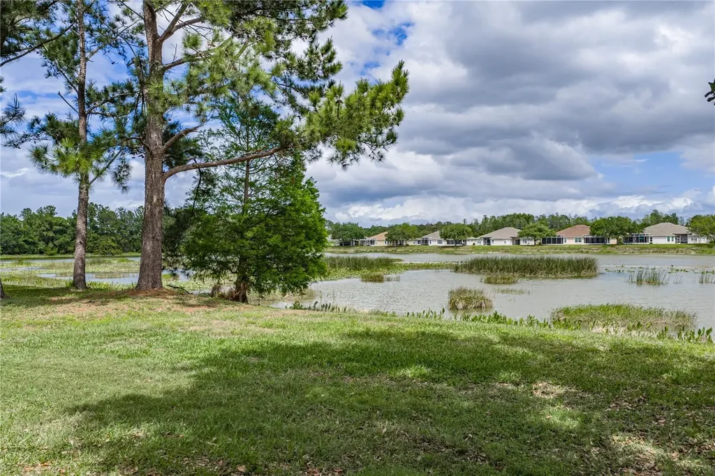 3820 Silverlake Way Wesley Chapel FL 33544