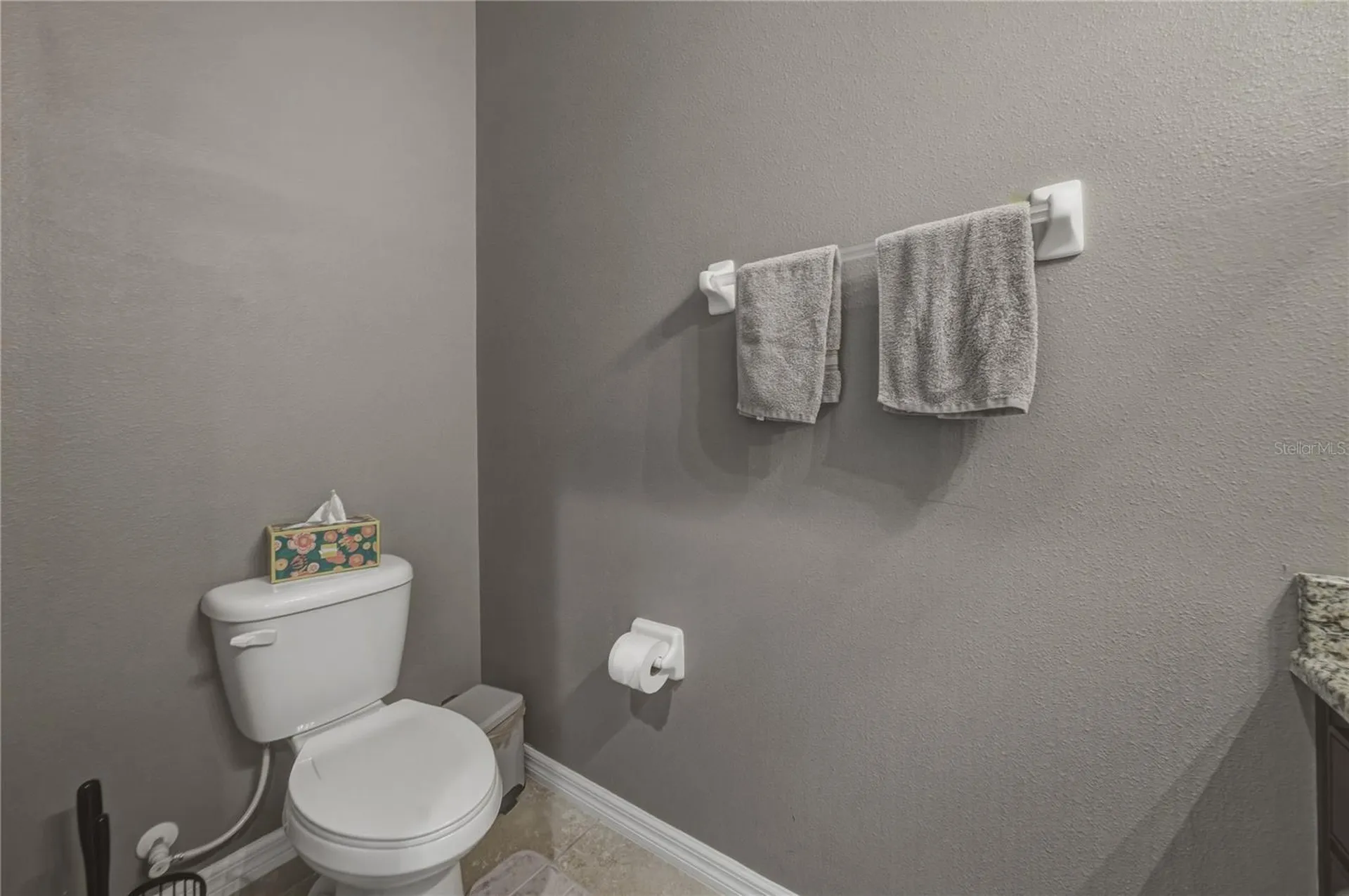 3820 Silverlake Way Wesley Chapel FL 33544