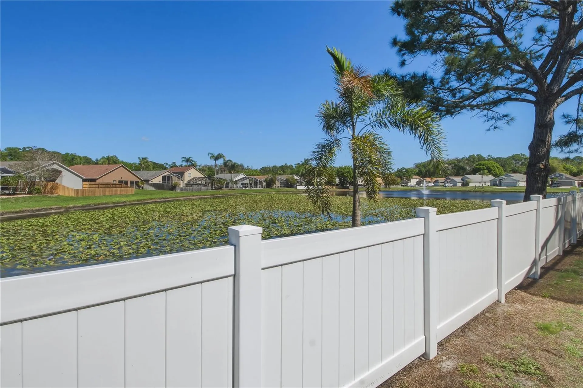 10215 Charleston Corner Road Tampa FL 33635