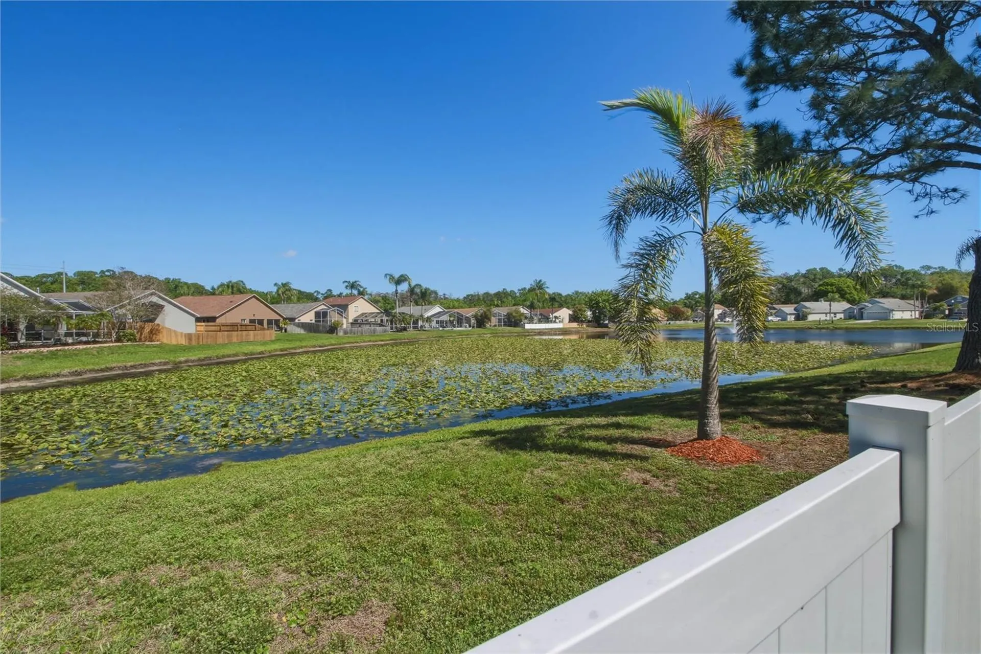 10215 Charleston Corner Road Tampa FL 33635