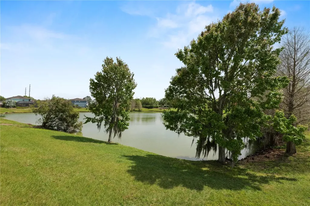 30816 Pumpkin Ridge Drive Wesley Chapel FL 33543