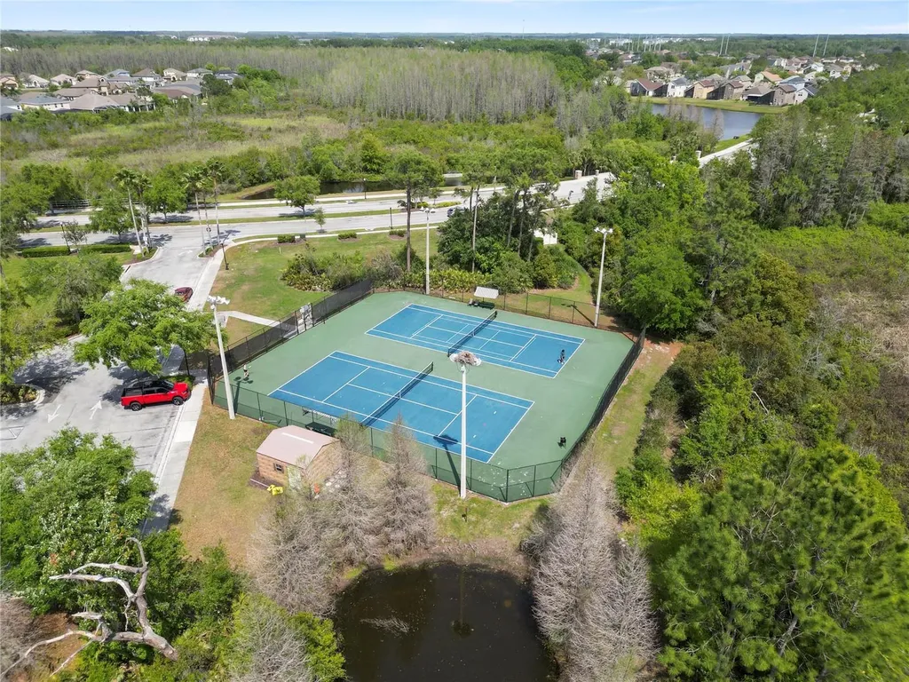 30816 Pumpkin Ridge Drive Wesley Chapel FL 33543