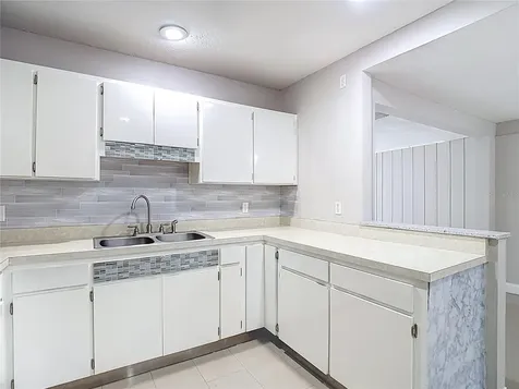1328 Divot Lane Tampa FL 33612