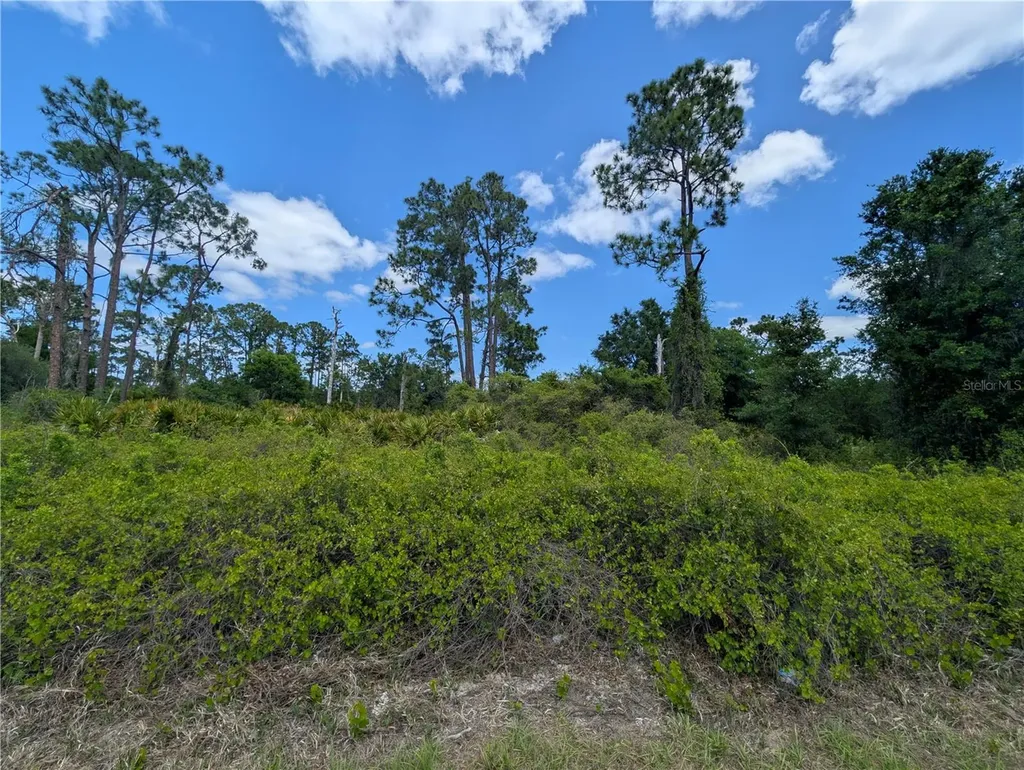 784 Washington Boulevard NE Lake Placid FL 33852