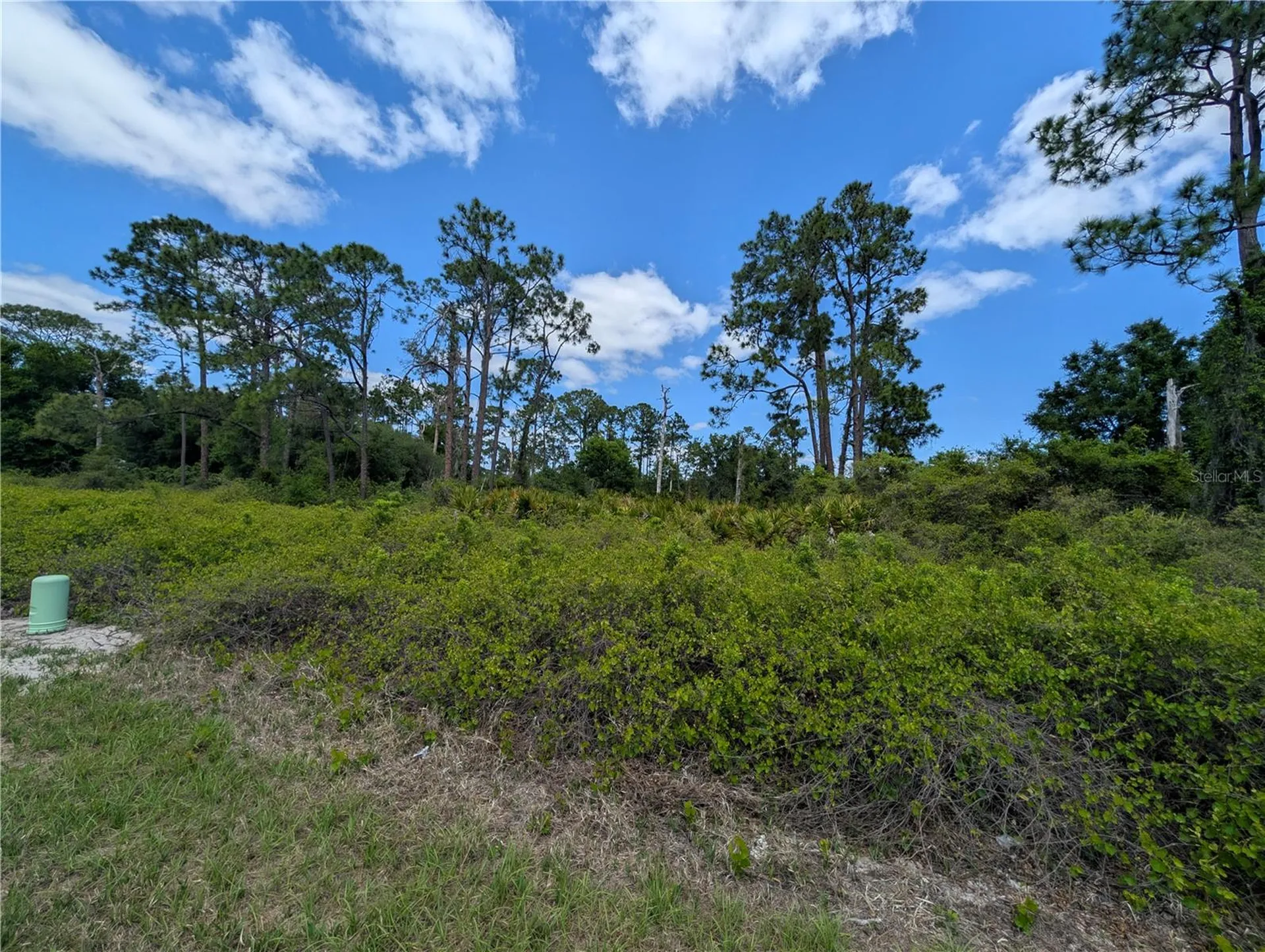 784 Washington Boulevard NE Lake Placid FL 33852