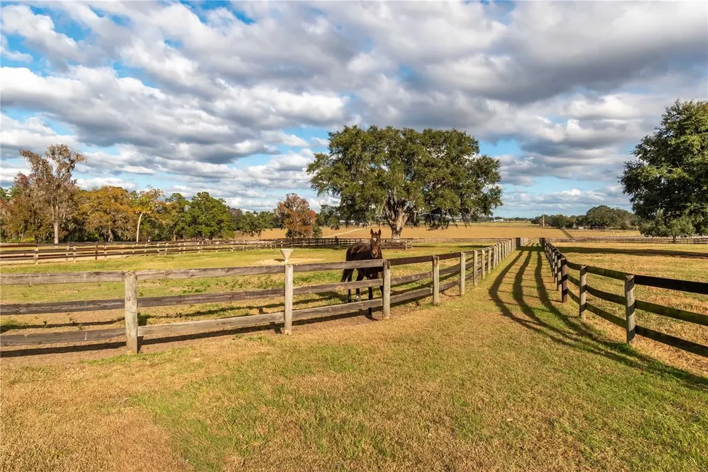 5100 W Highway 329 Reddick FL 32686