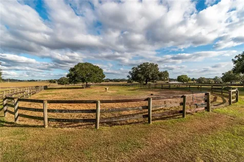 5100 W Highway 329 Reddick FL 32686