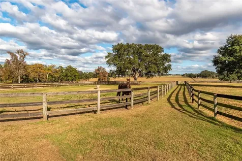 5100 W Highway 329 Reddick FL 32686