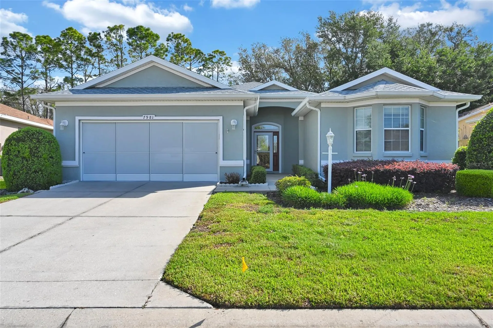 7981 SW 81st Loop Ocala FL 34476