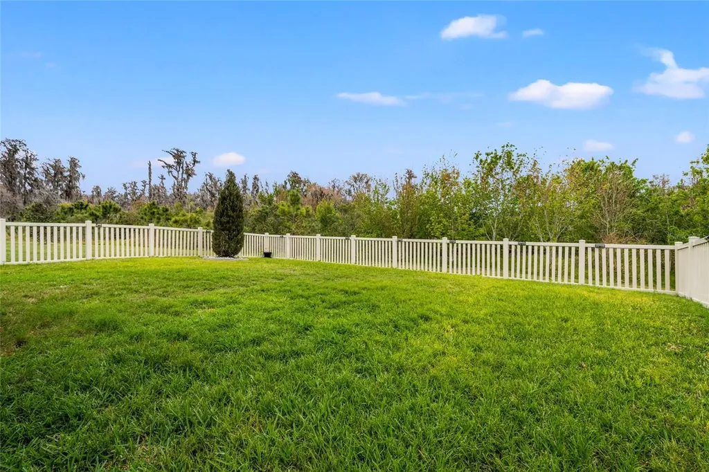 10480 Hawks Landing Drive Land O Lakes FL 34638
