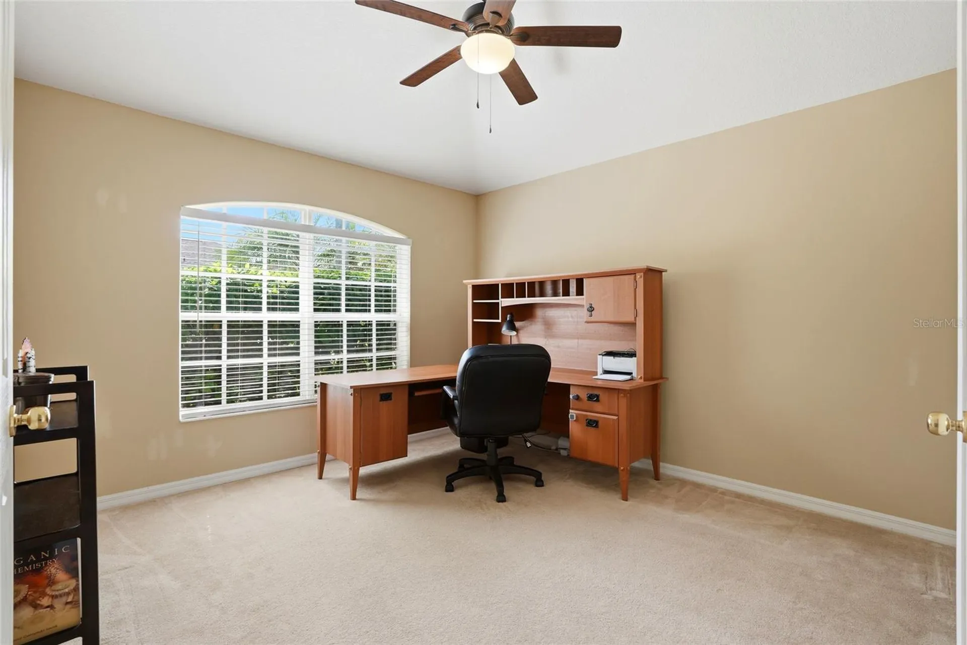 3345 Brenford Place Land O Lakes FL 34638