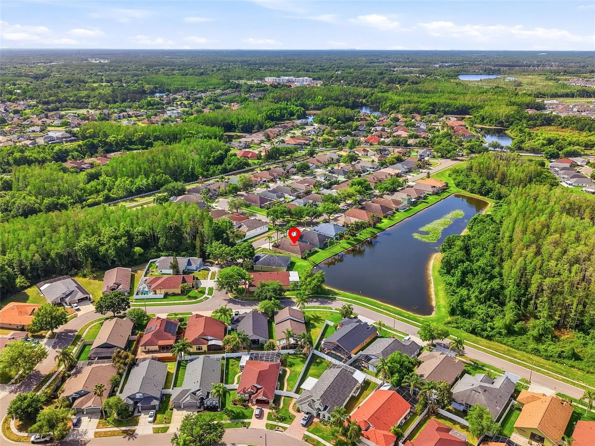 3345 Brenford Place Land O Lakes FL 34638