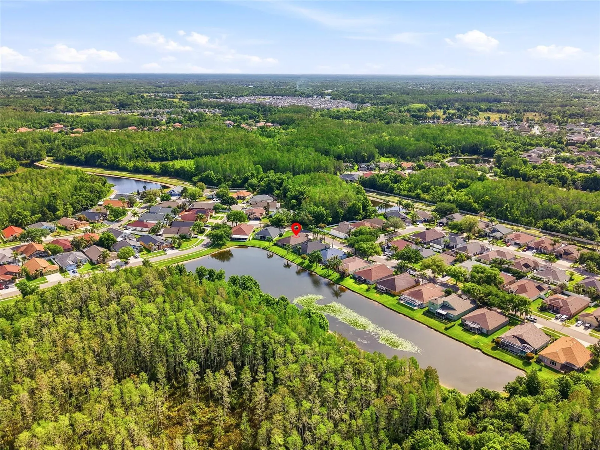 3345 Brenford Place Land O Lakes FL 34638