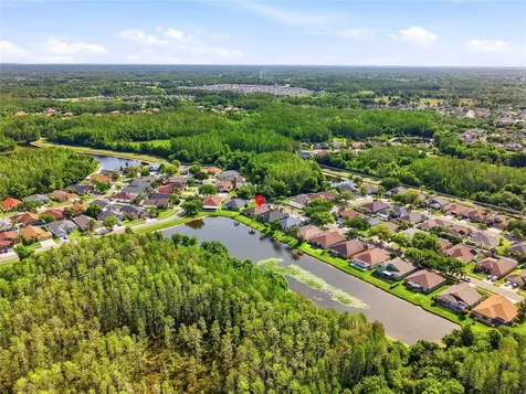 3345 Brenford Place Land O Lakes FL 34638