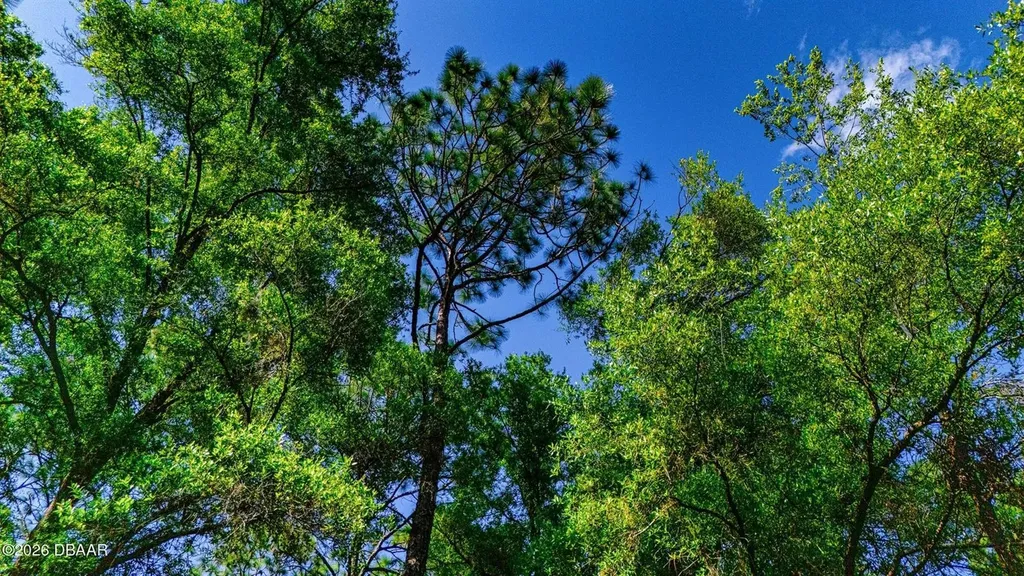 0 SW 57th Place Dunnellon FL 34431