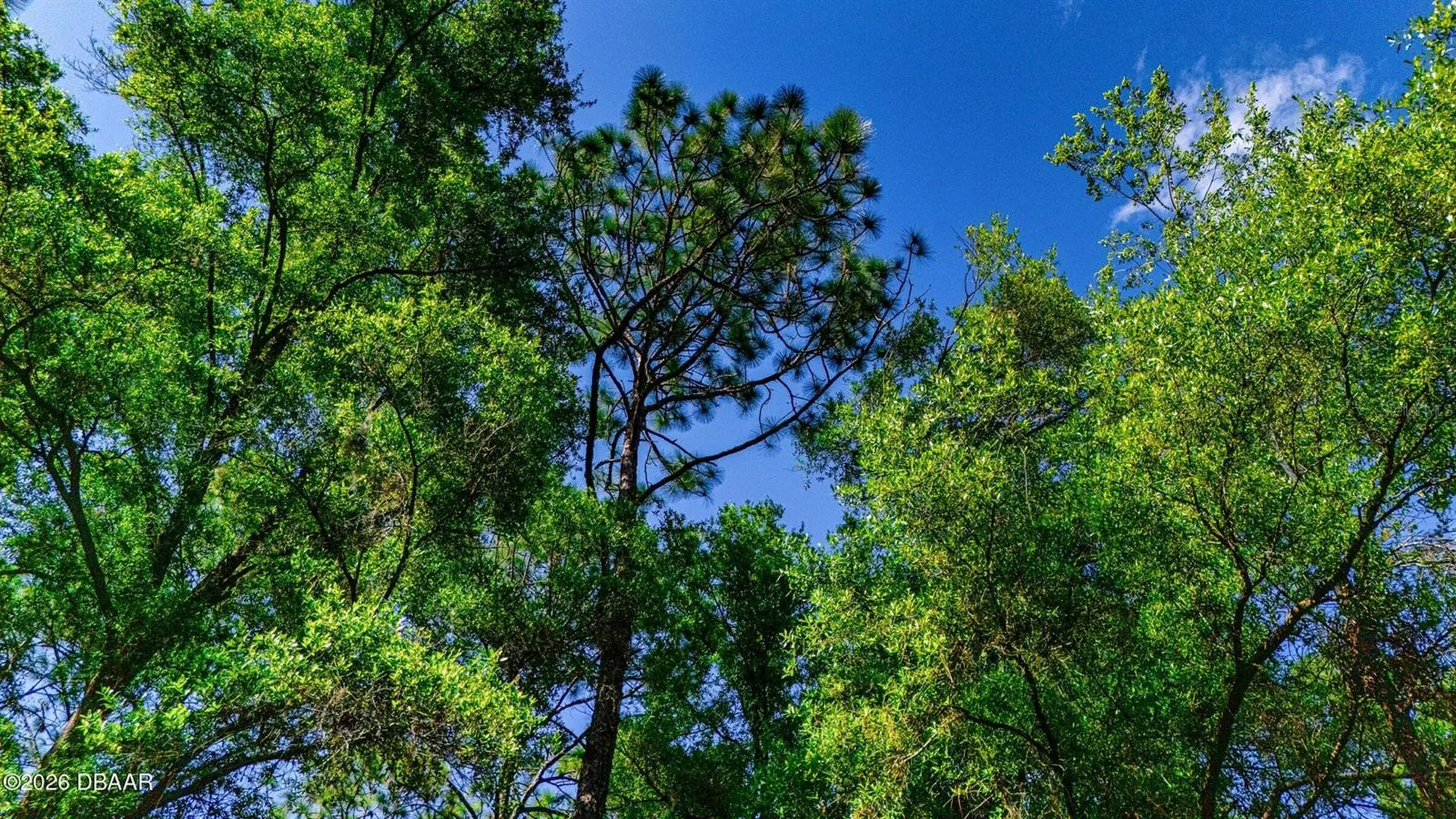 0 SW 57th Place Dunnellon FL 34431