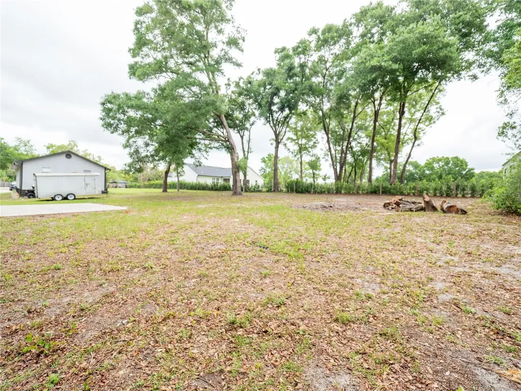 23548 Franklin Avenue Sorrento FL 32776