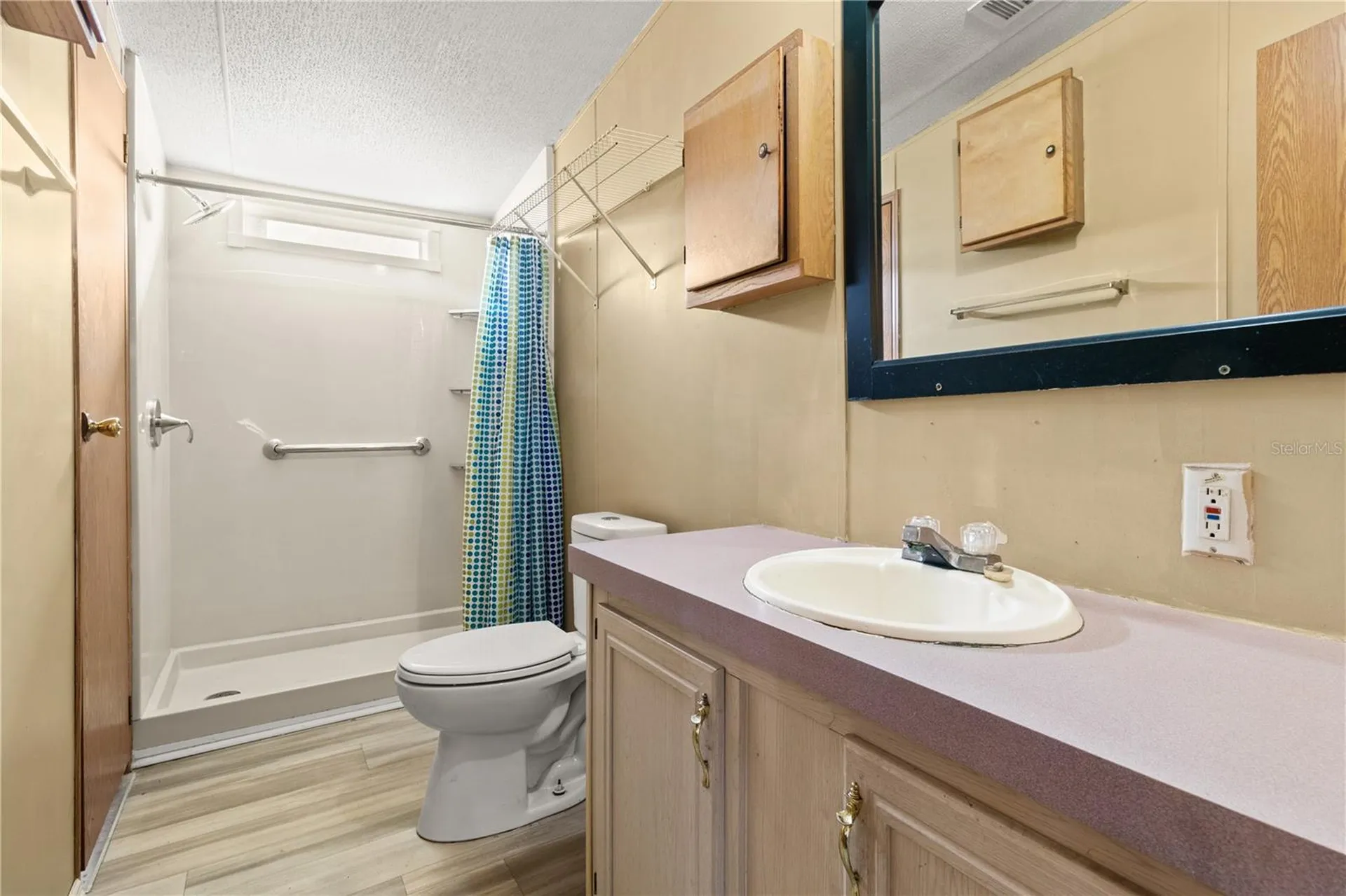 1371 NW 12th Lane Lake Panasoffkee FL 33538