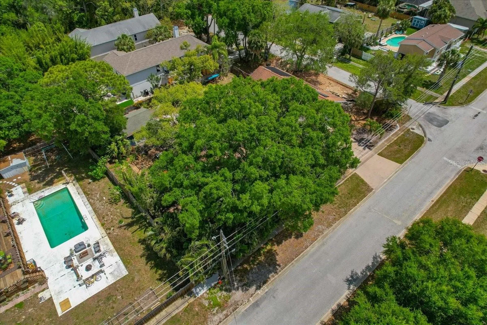 1314 Oleander Drive Tarpon Springs FL 34689