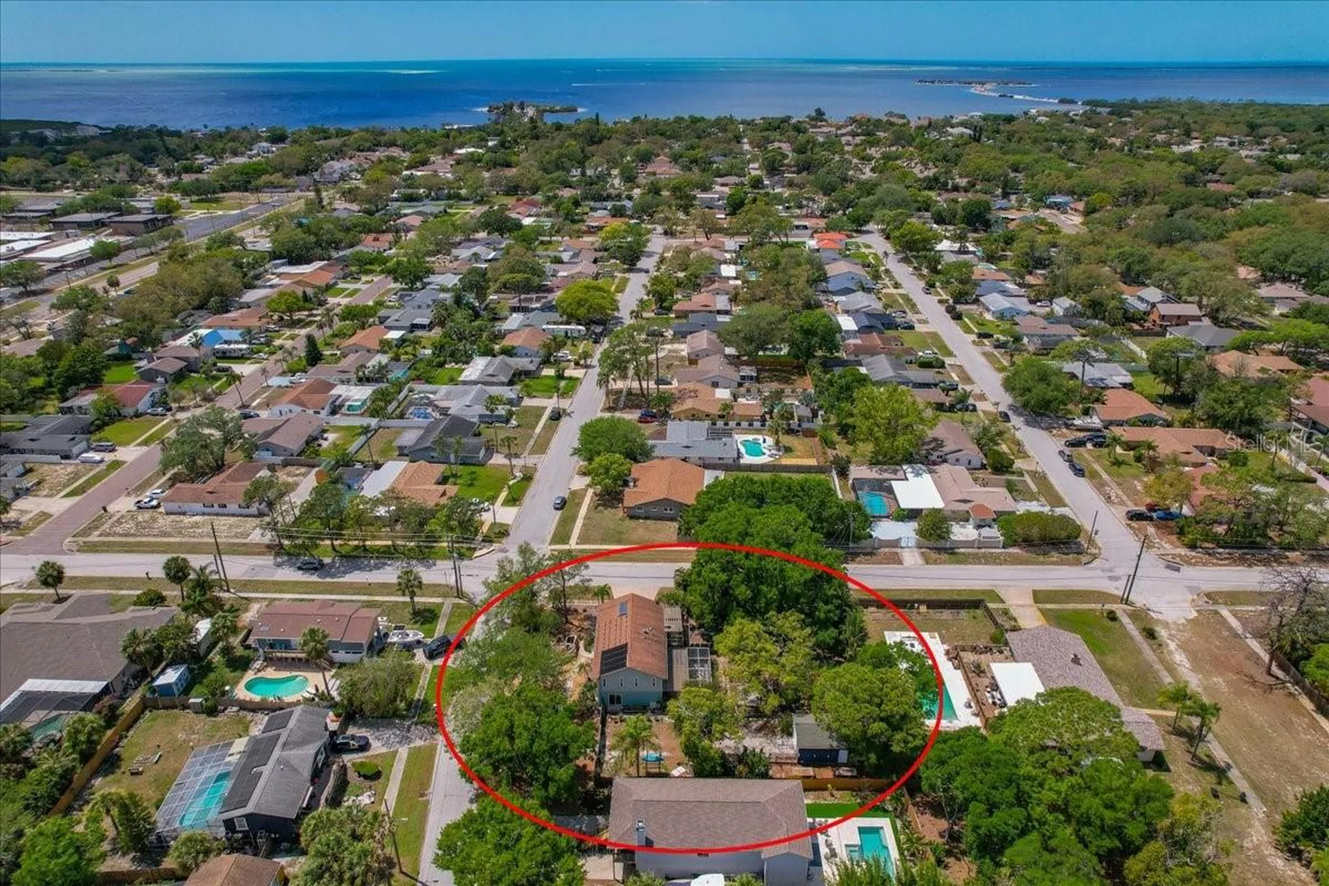 1314 Oleander Drive Tarpon Springs FL 34689
