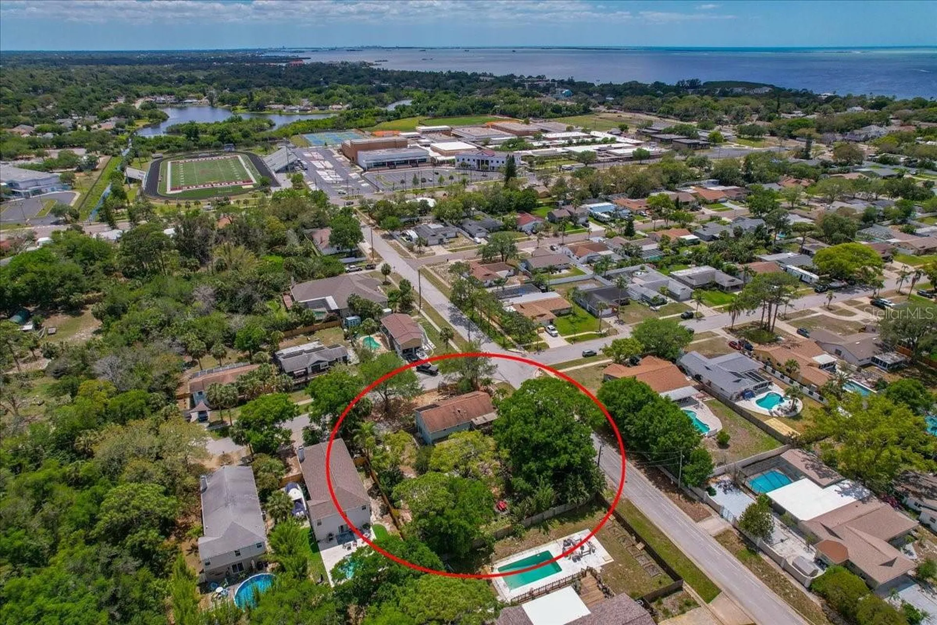 1314 Oleander Drive Tarpon Springs FL 34689
