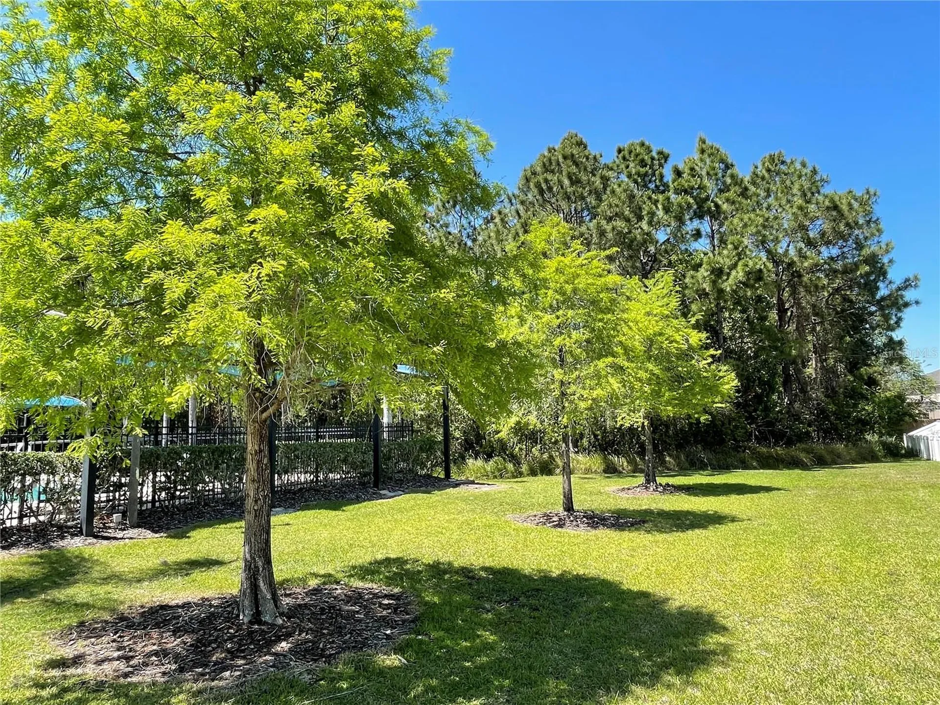 9978 Bennington Chase Drive Orlando FL 32829