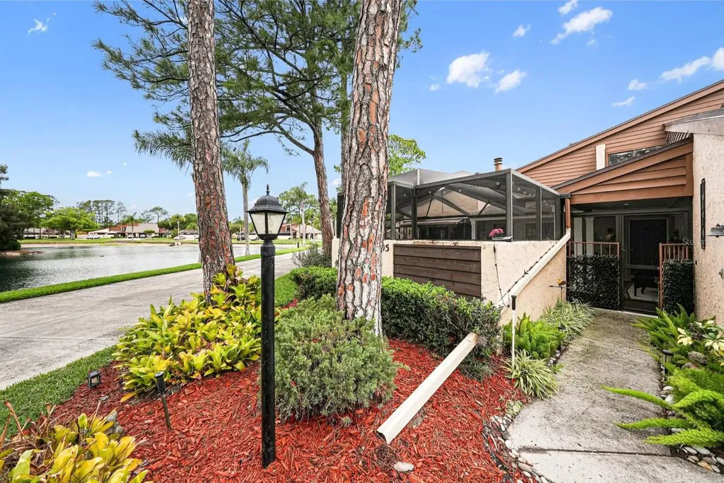 4805 Umber Court Tampa FL 33624