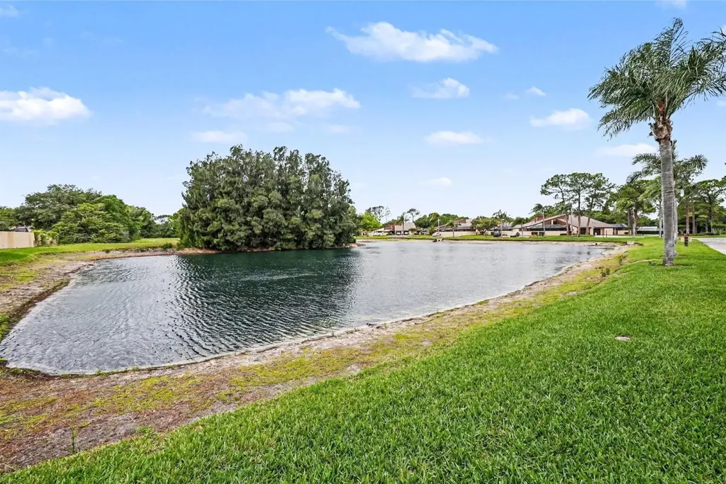4805 Umber Court Tampa FL 33624