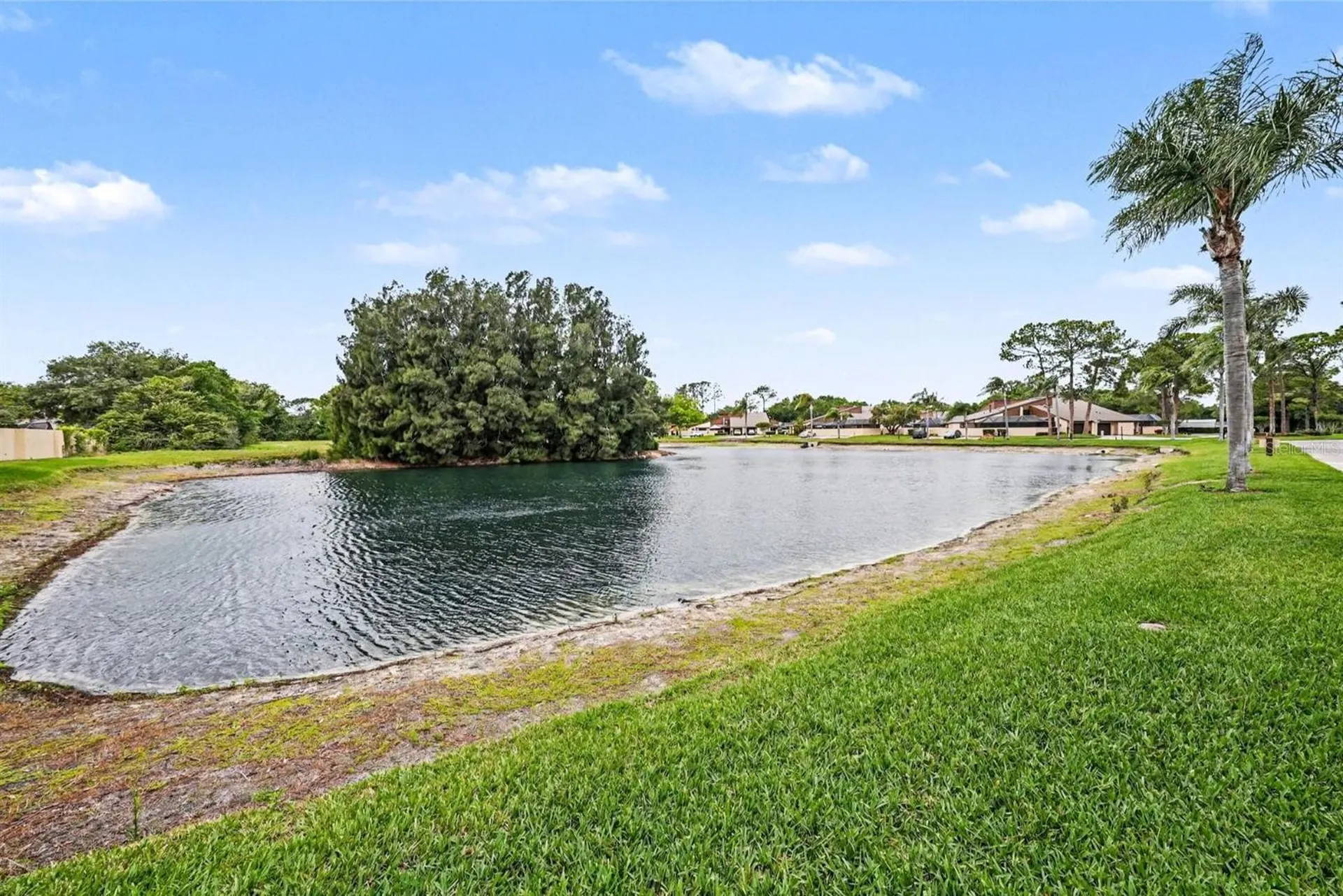 4805 Umber Court Tampa FL 33624
