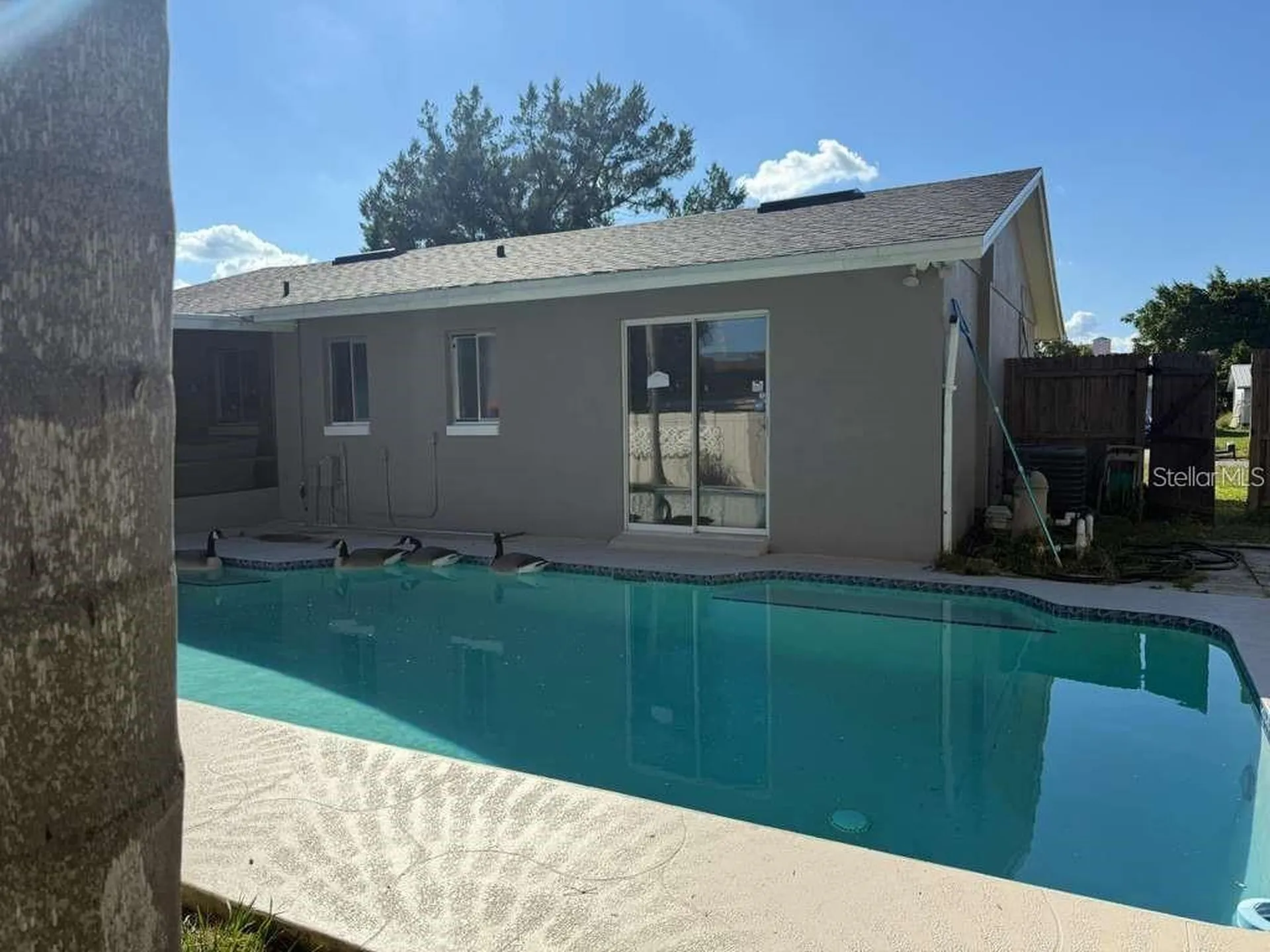 11331 Cardiff Drive Orlando FL 32837
