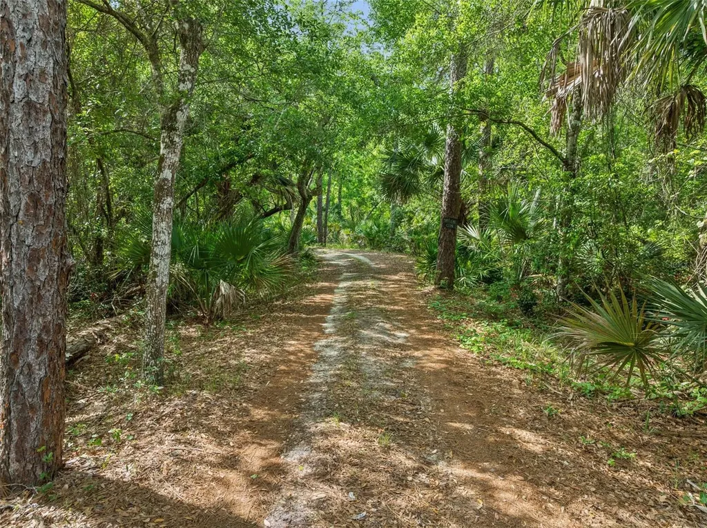 2260 Panorama Drive Chuluota FL 32766