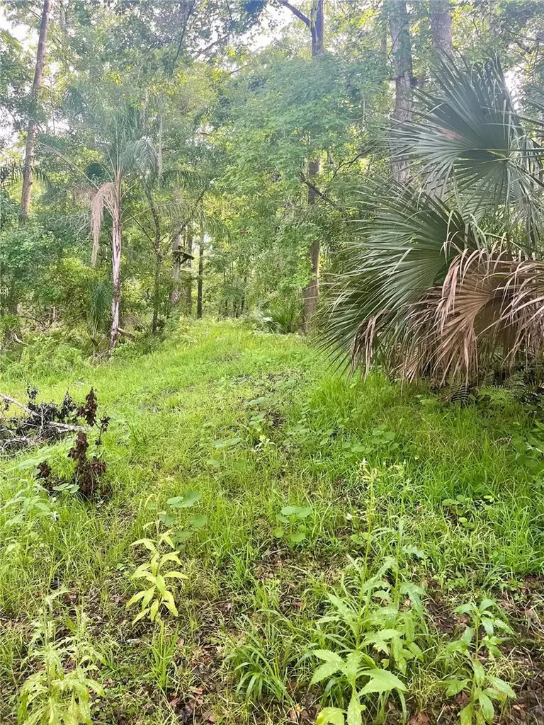 2260 Panorama Drive Chuluota FL 32766