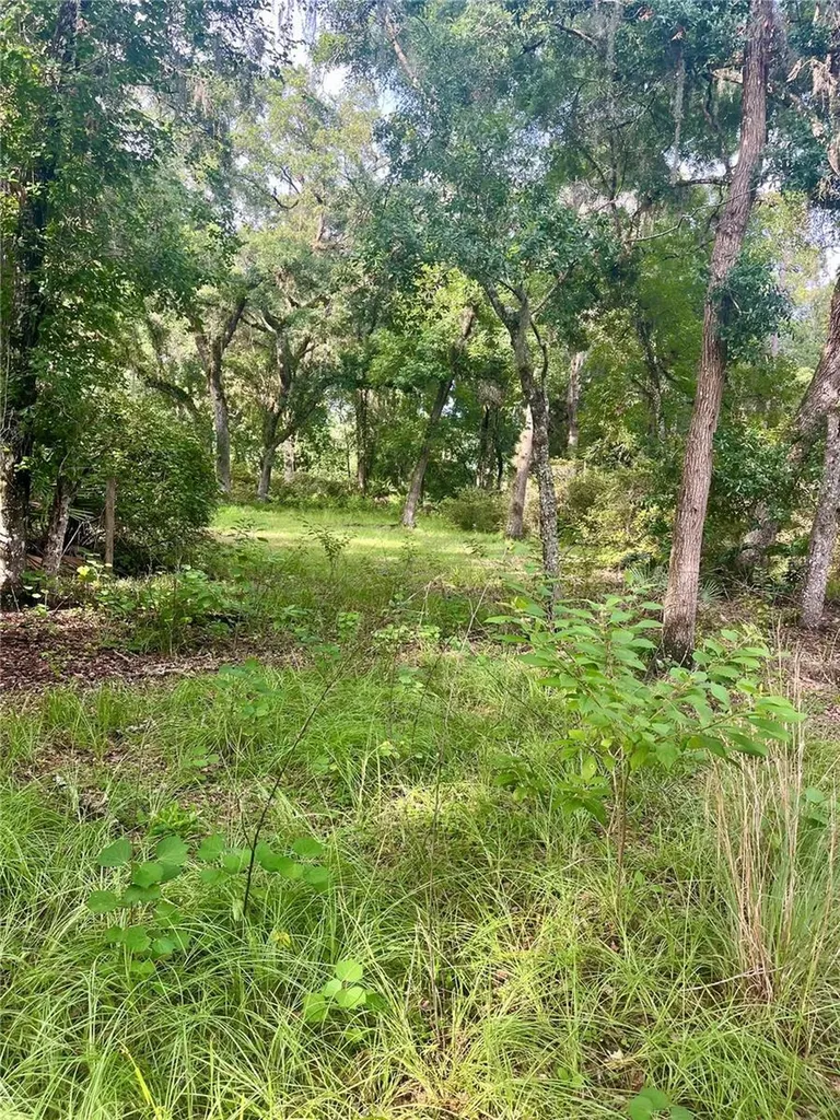 2260 Panorama Drive Chuluota FL 32766