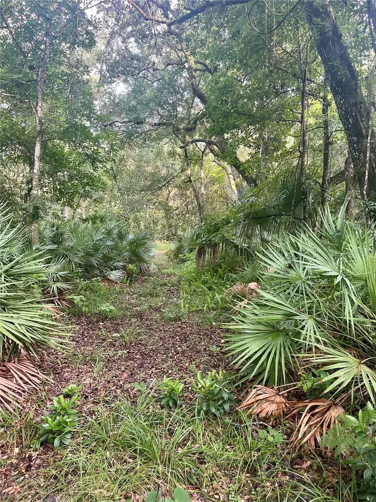 2260 Panorama Drive Chuluota FL 32766