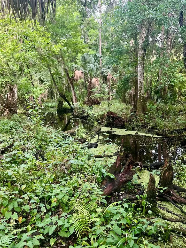 2260 Panorama Drive Chuluota FL 32766